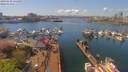 ./images/victoria/wharf/20190420/wharf20190420_135450.jpg