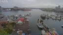 ./images/victoria/wharf/20190422/wharf20190422_162450.jpg