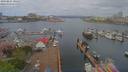./images/victoria/wharf/20190424/wharf20190424_101457.jpg