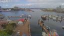./images/victoria/wharf/20190424/wharf20190424_112950.jpg