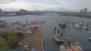 ./images/victoria/wharf/20190426/wharf20190426_152950.jpg