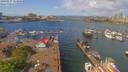 ./images/victoria/wharf/20190427/wharf20190427_114958.jpg