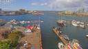 ./images/victoria/wharf/20190427/wharf20190427_115448.jpg