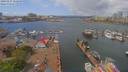 ./images/victoria/wharf/20190427/wharf20190427_121449.jpg