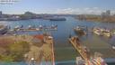 ./images/victoria/wharf/20190429/wharf20190429_152954.jpg
