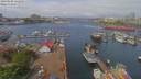 ./images/victoria/wharf/20190502/wharf20190502_111450.jpg