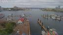 ./images/victoria/wharf/20190503/wharf20190503_101957.jpg