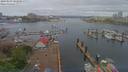 ./images/victoria/wharf/20190503/wharf20190503_102958.jpg