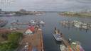 ./images/victoria/wharf/20190503/wharf20190503_111449.jpg