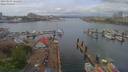 ./images/victoria/wharf/20190503/wharf20190503_121451.jpg