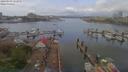 ./images/victoria/wharf/20190503/wharf20190503_122952.jpg