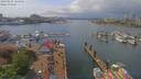 ./images/victoria/wharf/20190503/wharf20190503_134955.jpg