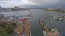 ./images/victoria/wharf/20190503/wharf20190503_143956.jpg