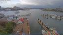 ./images/victoria/wharf/20190503/wharf20190503_144957.jpg