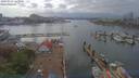 ./images/victoria/wharf/20190503/wharf20190503_161950.jpg