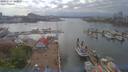 ./images/victoria/wharf/20190503/wharf20190503_163951.jpg