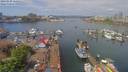 ./images/victoria/wharf/20190504/wharf20190504_115453.jpg