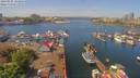 ./images/victoria/wharf/20190506/wharf20190506_124956.jpg