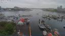 ./images/victoria/wharf/20190514/wharf20190514_084950.jpg