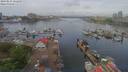 ./images/victoria/wharf/20190514/wharf20190514_121458.jpg