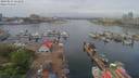 ./images/victoria/wharf/20190514/wharf20190514_121958.jpg