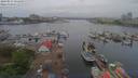 ./images/victoria/wharf/20190514/wharf20190514_131450.jpg