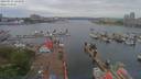 ./images/victoria/wharf/20190515/wharf20190515_145951.jpg