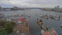 ./images/victoria/wharf/20190515/wharf20190515_150951.jpg