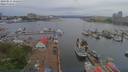 ./images/victoria/wharf/20190515/wharf20190515_165456.jpg