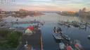 ./images/victoria/wharf/20190516/wharf20190516_053949.jpg