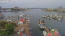 ./images/victoria/wharf/20190516/wharf20190516_112954.jpg