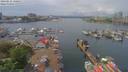 ./images/victoria/wharf/20190516/wharf20190516_130957.jpg