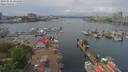 ./images/victoria/wharf/20190516/wharf20190516_131457.jpg