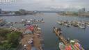 ./images/victoria/wharf/20190516/wharf20190516_132458.jpg