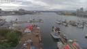 ./images/victoria/wharf/20190516/wharf20190516_172958.jpg