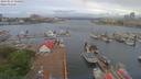 ./images/victoria/wharf/20190517/wharf20190517_060452.jpg