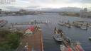 ./images/victoria/wharf/20190517/wharf20190517_070955.jpg