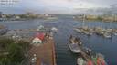 ./images/victoria/wharf/20190517/wharf20190517_092951.jpg