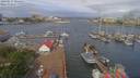 ./images/victoria/wharf/20190517/wharf20190517_094952.jpg