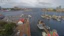 ./images/victoria/wharf/20190517/wharf20190517_101953.jpg
