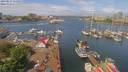 ./images/victoria/wharf/20190517/wharf20190517_114957.jpg