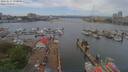 ./images/victoria/wharf/20190517/wharf20190517_130950.jpg