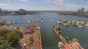 ./images/victoria/wharf/20190517/wharf20190517_142954.jpg