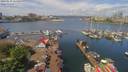 ./images/victoria/wharf/20190518/wharf20190518_114453.jpg