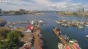 ./images/victoria/wharf/20190518/wharf20190518_114953.jpg
