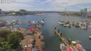 ./images/victoria/wharf/20190518/wharf20190518_141450.jpg