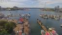 ./images/victoria/wharf/20190518/wharf20190518_141950.jpg