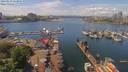 ./images/victoria/wharf/20190519/wharf20190519_133955.jpg