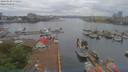 ./images/victoria/wharf/20190520/wharf20190520_072454.jpg
