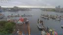 ./images/victoria/wharf/20190520/wharf20190520_092449.jpg